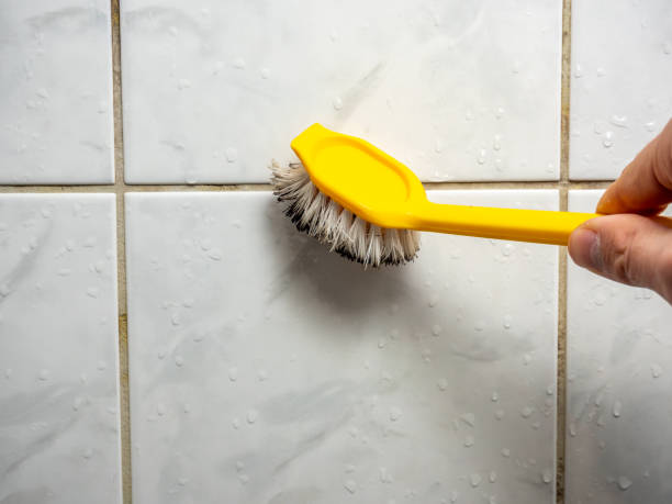Best Mold Testing  in Springfield, VA