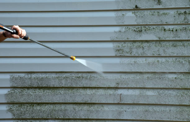 Best Mold Damage Repair  in Springfield, VA