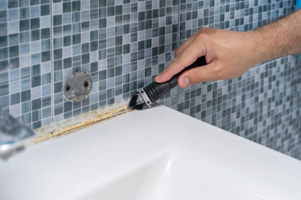 Best Mold Removal Process  in Springfield, VA