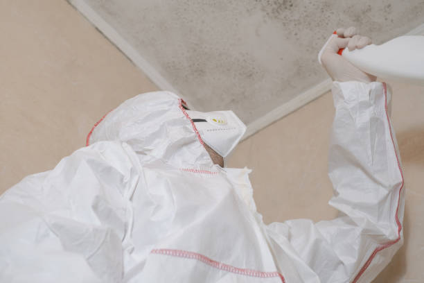 Best Mold Inspection  in Springfield, VA