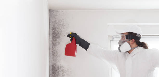 Water Damage Restoration in Springfield, VA